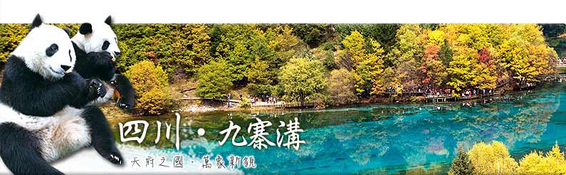 福建,金門,廈門,小三通,廈門旅遊
