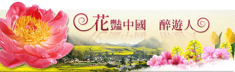 北京Beijing 走進百年紫禁之顛